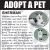 Adopt a Pet - Sully