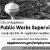 Public Works Director