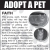 Adopt a Pet - Faith