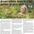 Areas Where Insects May Gather in Your Yard