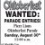 Wanted: Parade Entries