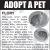Adopt a Pet - Flory