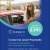 Cruise Into Lower Payments - Auto Loan Rates as Low as 3.99% APR