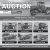 Estate Auction