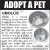 Adopt a Pet - Flory