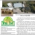 50% OFF Fruit Trees and Small Fruits