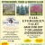 Fall Evergreen Sale!