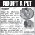 Adopt a Pet - Flory