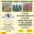 Fall Evergreen Sale!