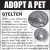 Adopt a Pet - Stelten