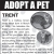 Adopt a Pet - Trent