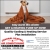Get a Heating Tune-Up Now!