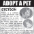 Adopt a Pet - Trent