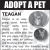 Adopt a Pet - Trent