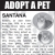 Adopt a Pet - Santana
