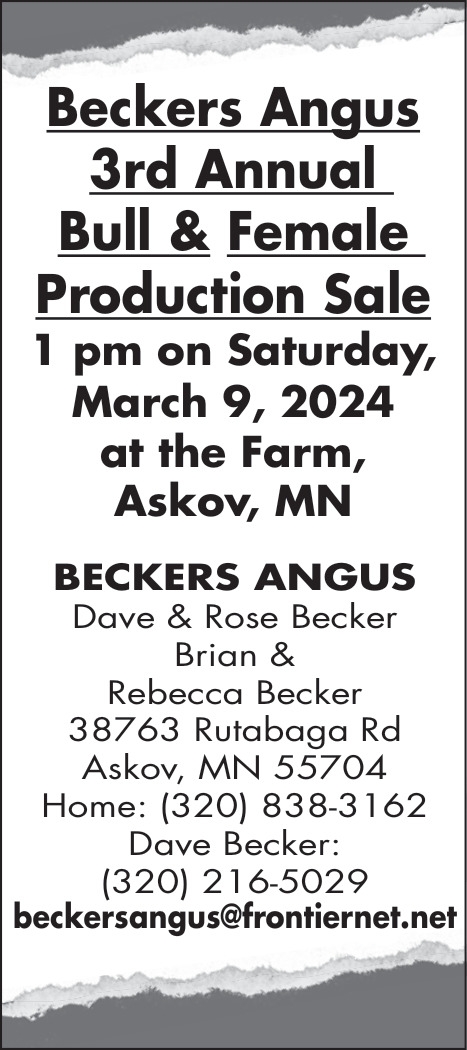 Beckers Angus