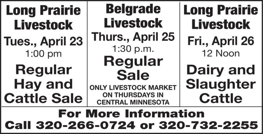 Long Prairie Livestock Auction Co