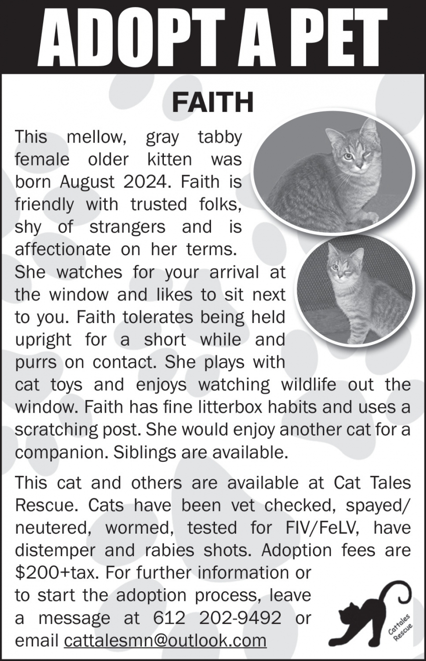 Cat Tales Rescue