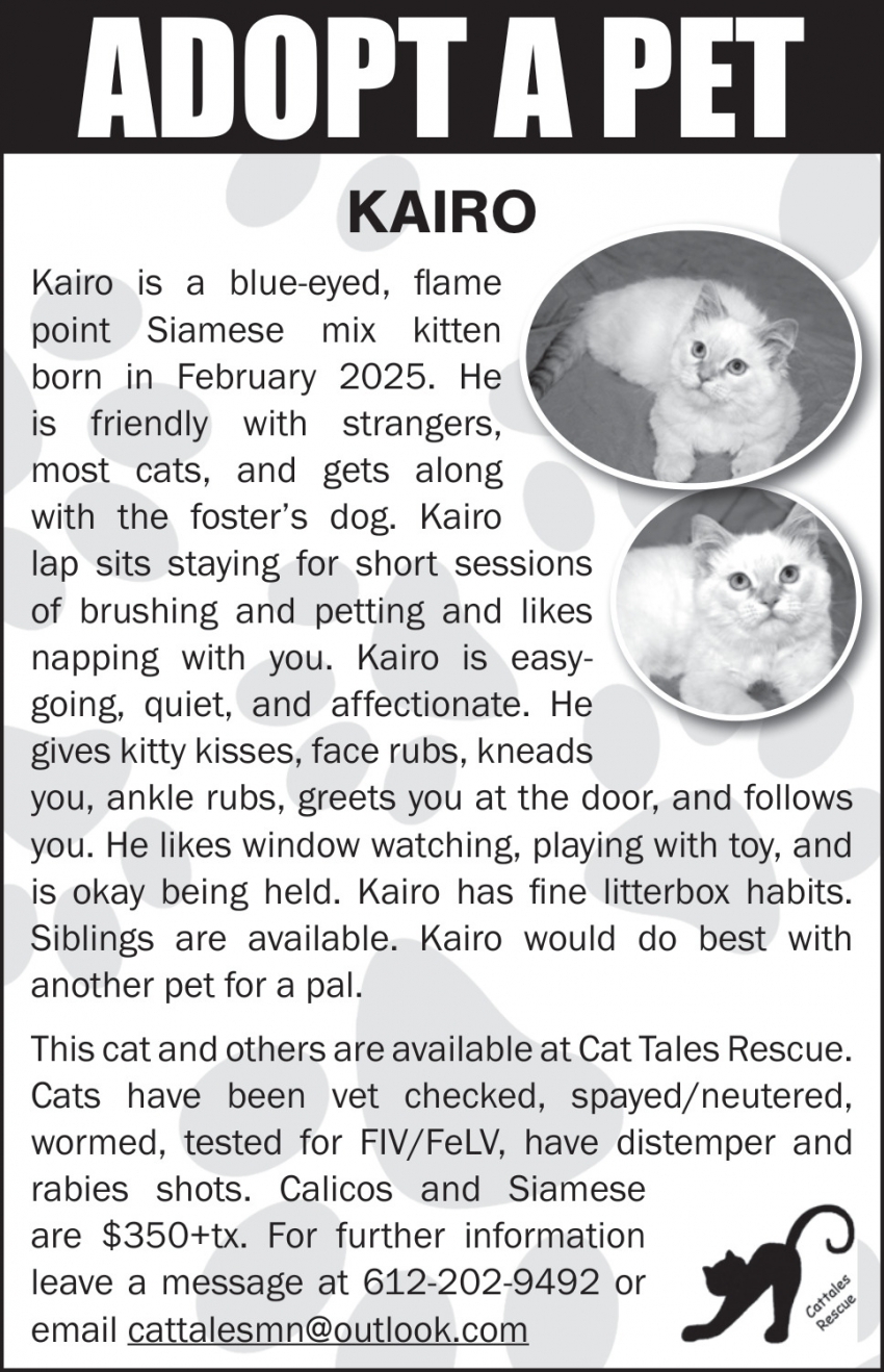 Cat Tales Rescue