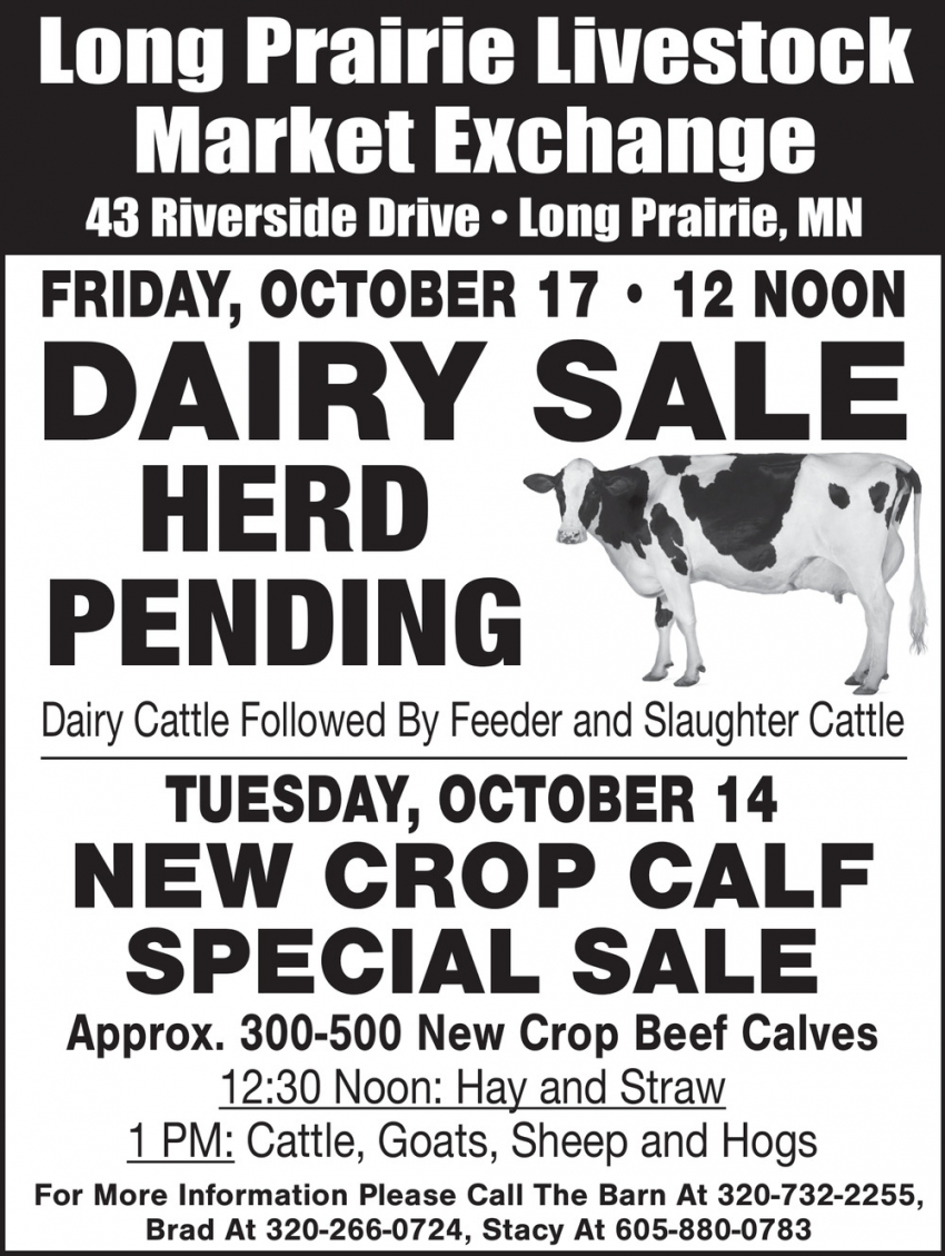 Long Prairie Livestock Auction Market Exchange