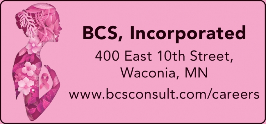 BCS - Broadston Consulting Services, Inc