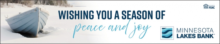 Minnesota Lakes Bank