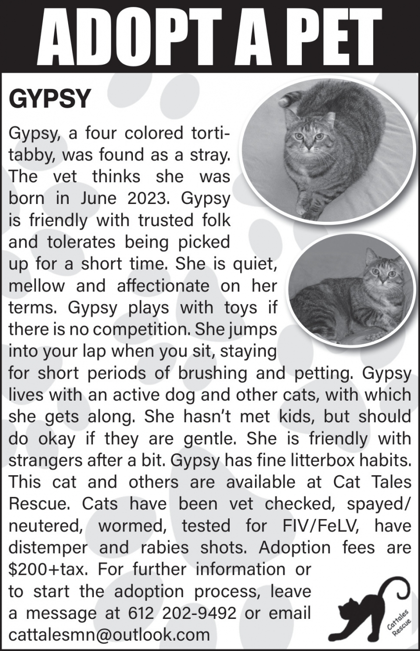 Cat Tales Rescue