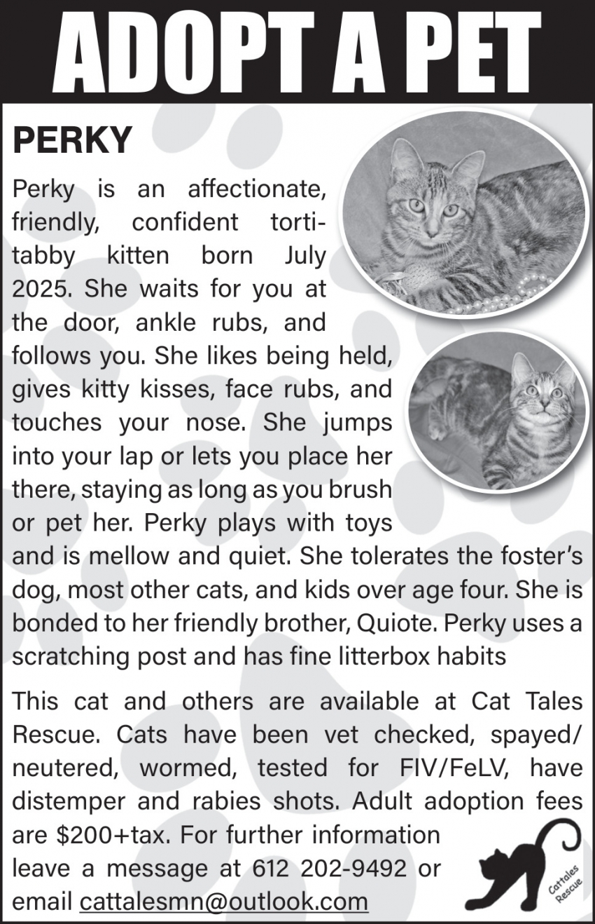 Cat Tales Rescue