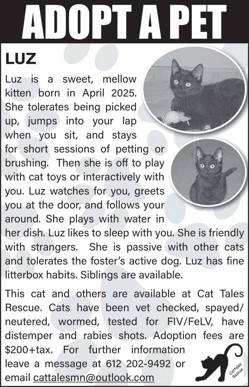 Cat Tales Rescue