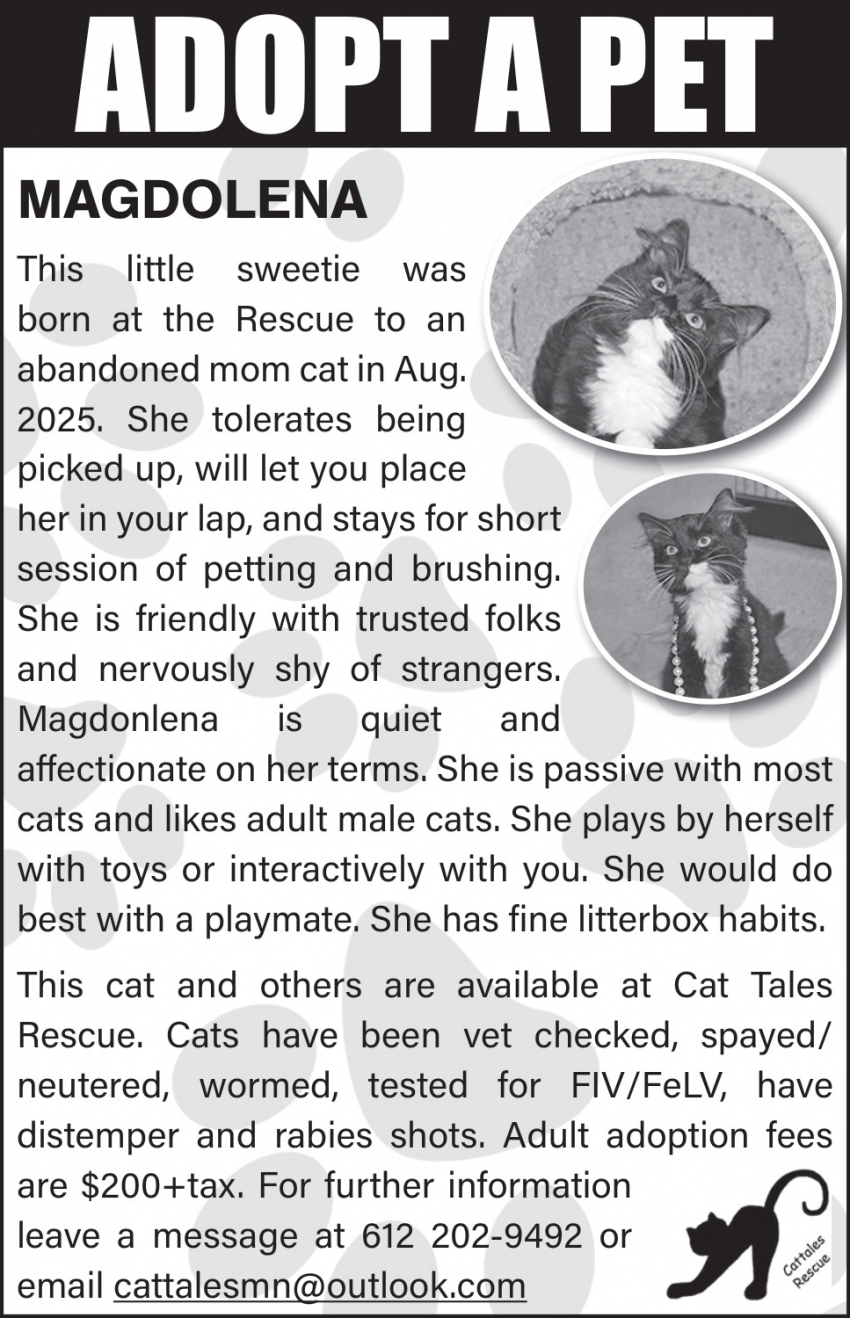 Cat Tales Rescue