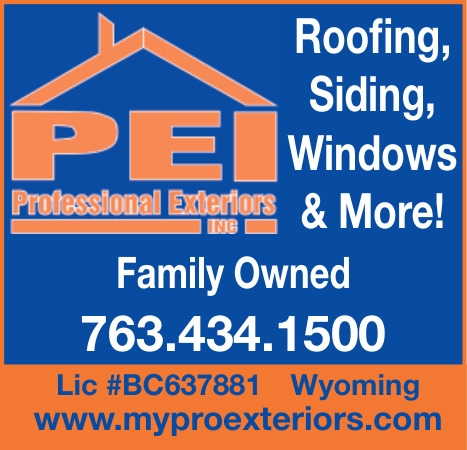 Professional Exteriors Inc