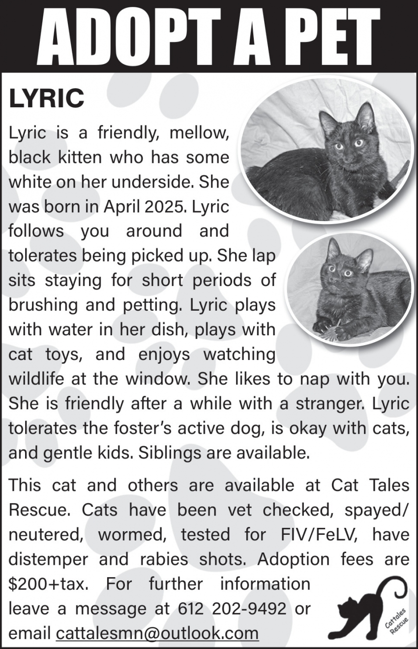 Cat Tales Rescue