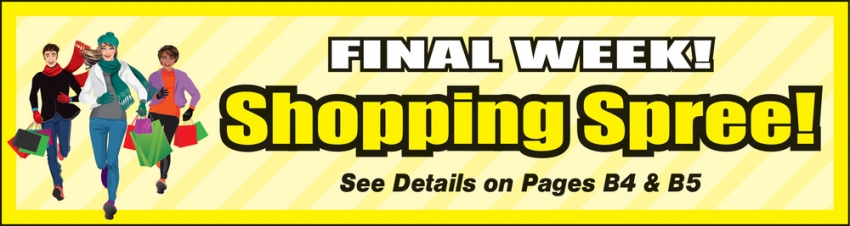 Morrison County Record