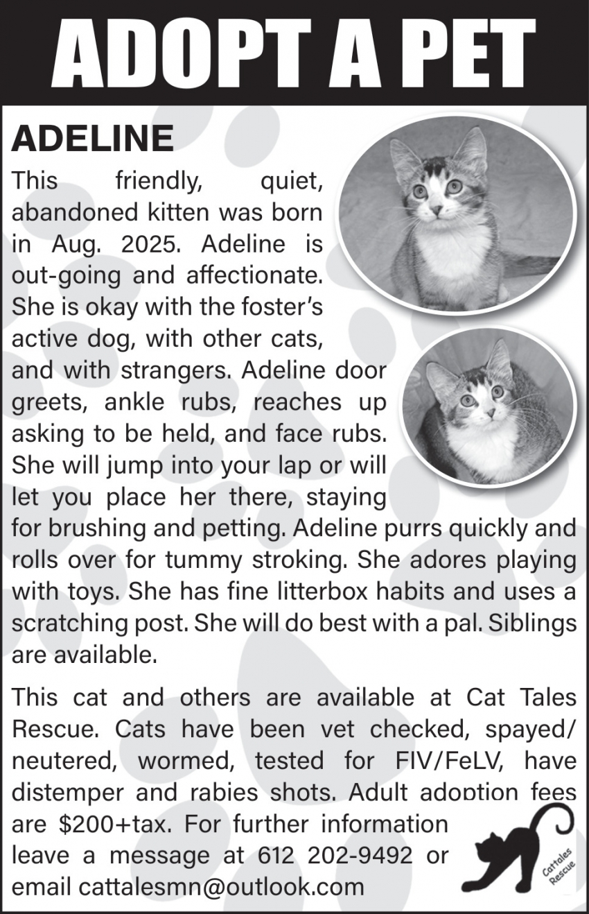 Cat Tales Rescue
