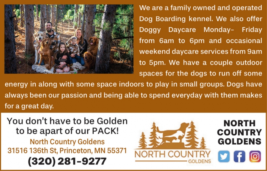 North Country Goldens