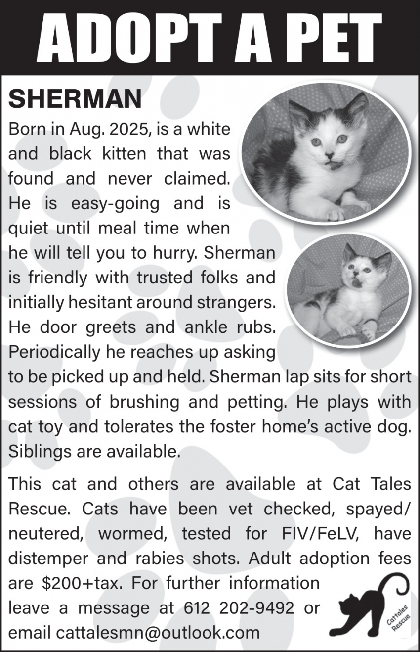 Cat Tales Rescue