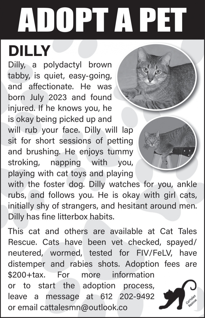 Cat Tales Rescue