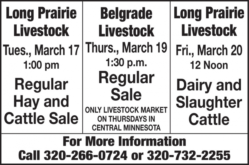 Long Prairie Livestock - Belgrade Livestock