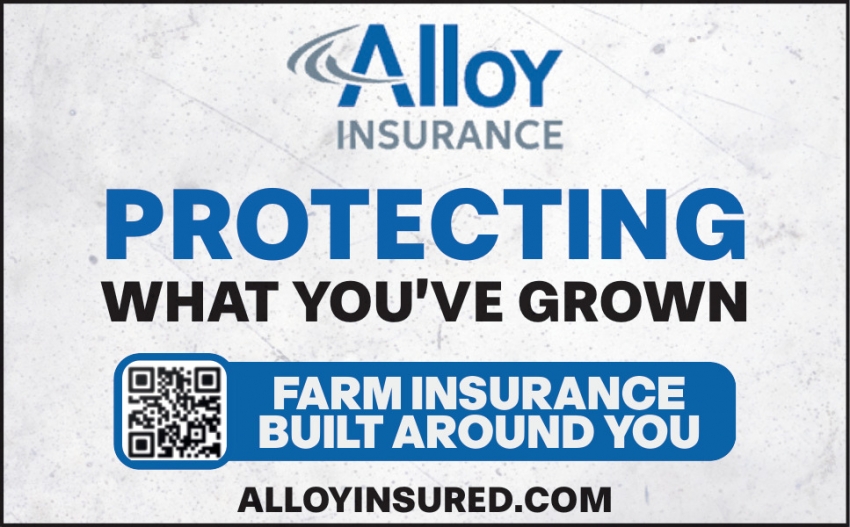Alloy Insurance