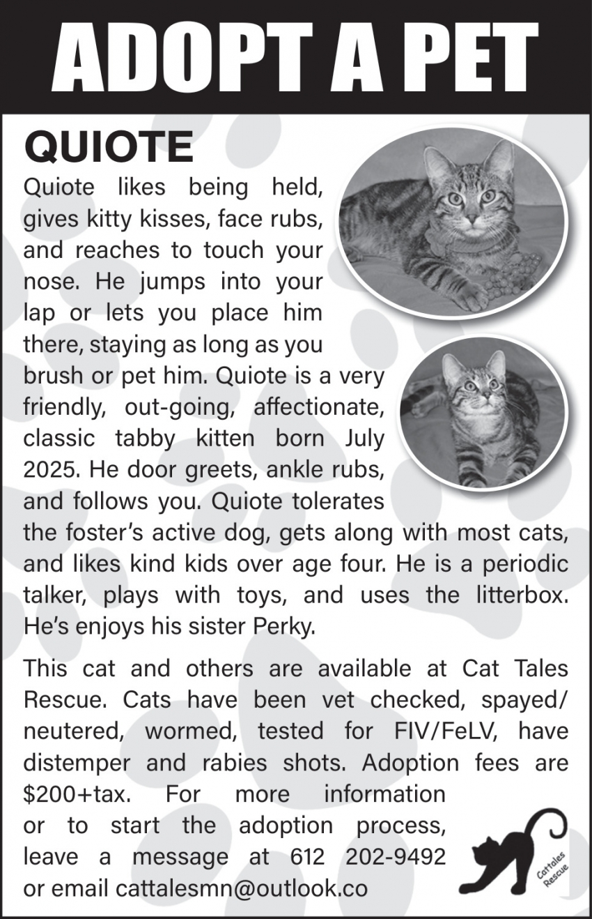 Cat Tales Rescue