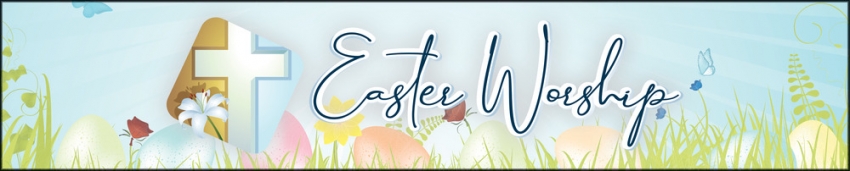 Sun Patriot Newspaper