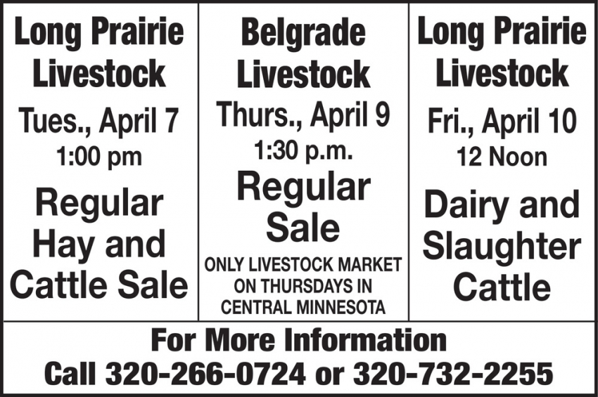 Long Prairie Livestock - Belgrade Livestock