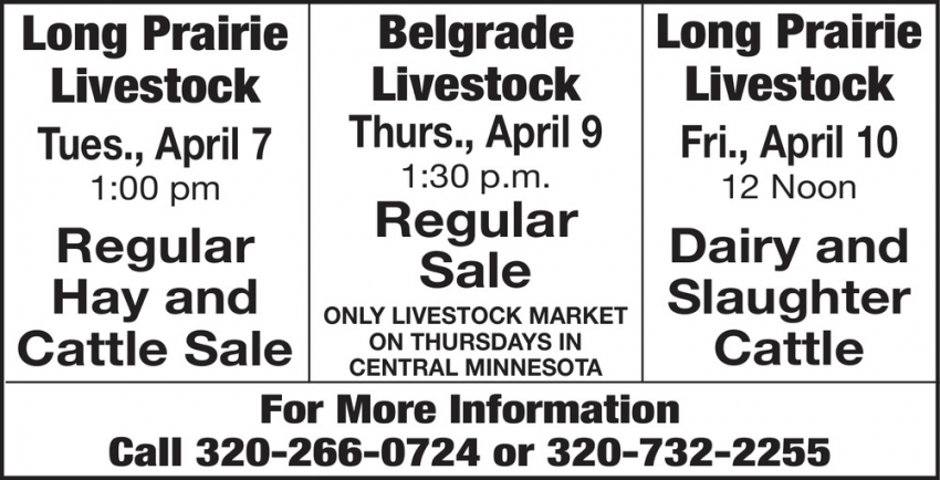 Long Prairie Livestock - Belgrade Livestock