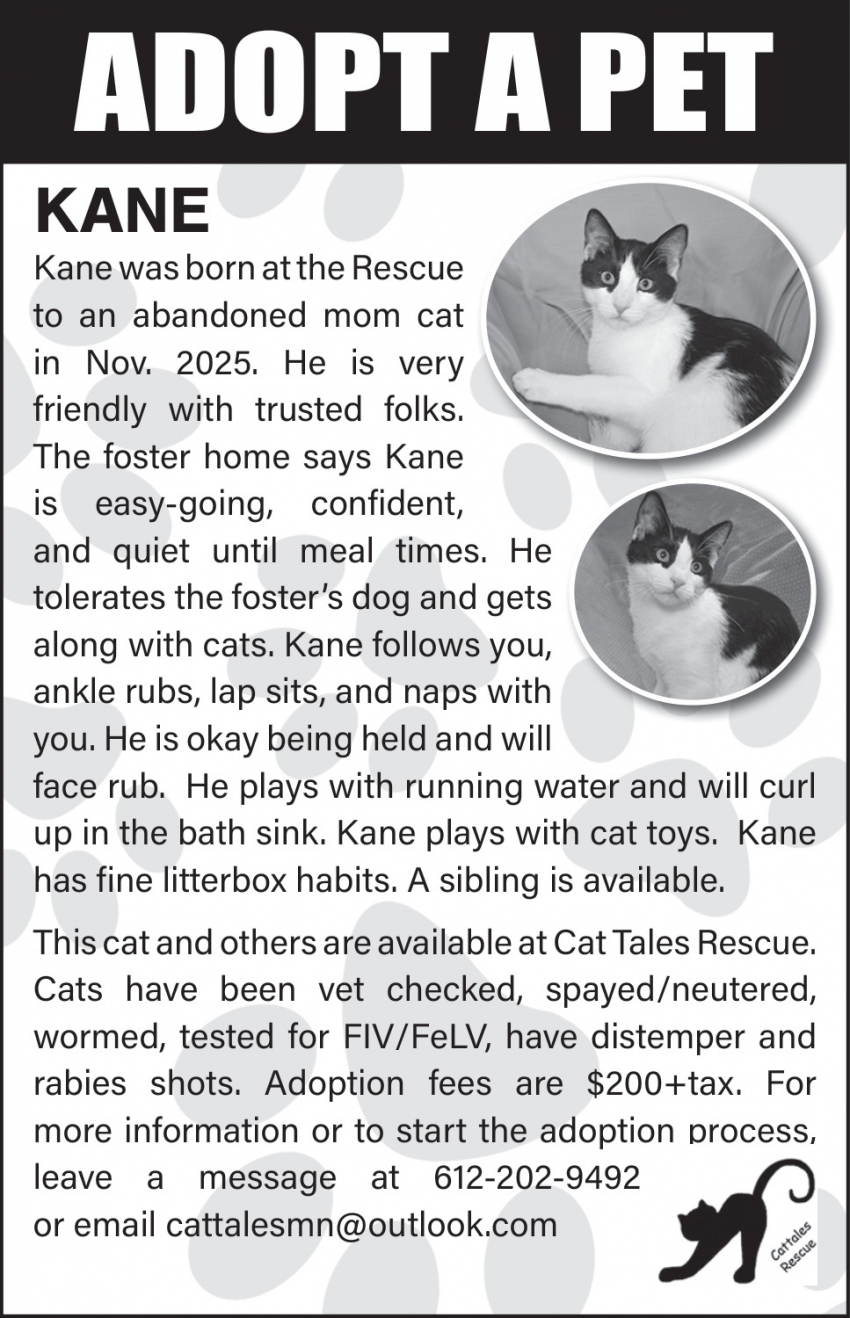 Cat Tales Rescue