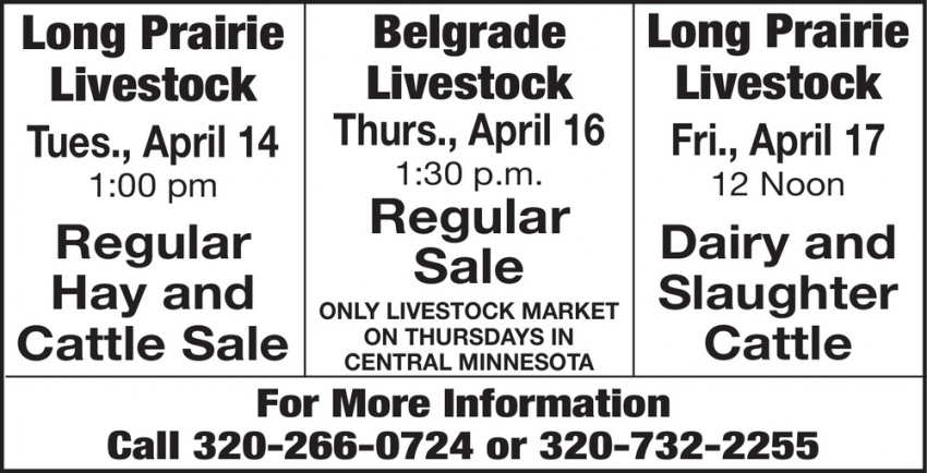 Long Prairie Livestock - Belgrade Livestock
