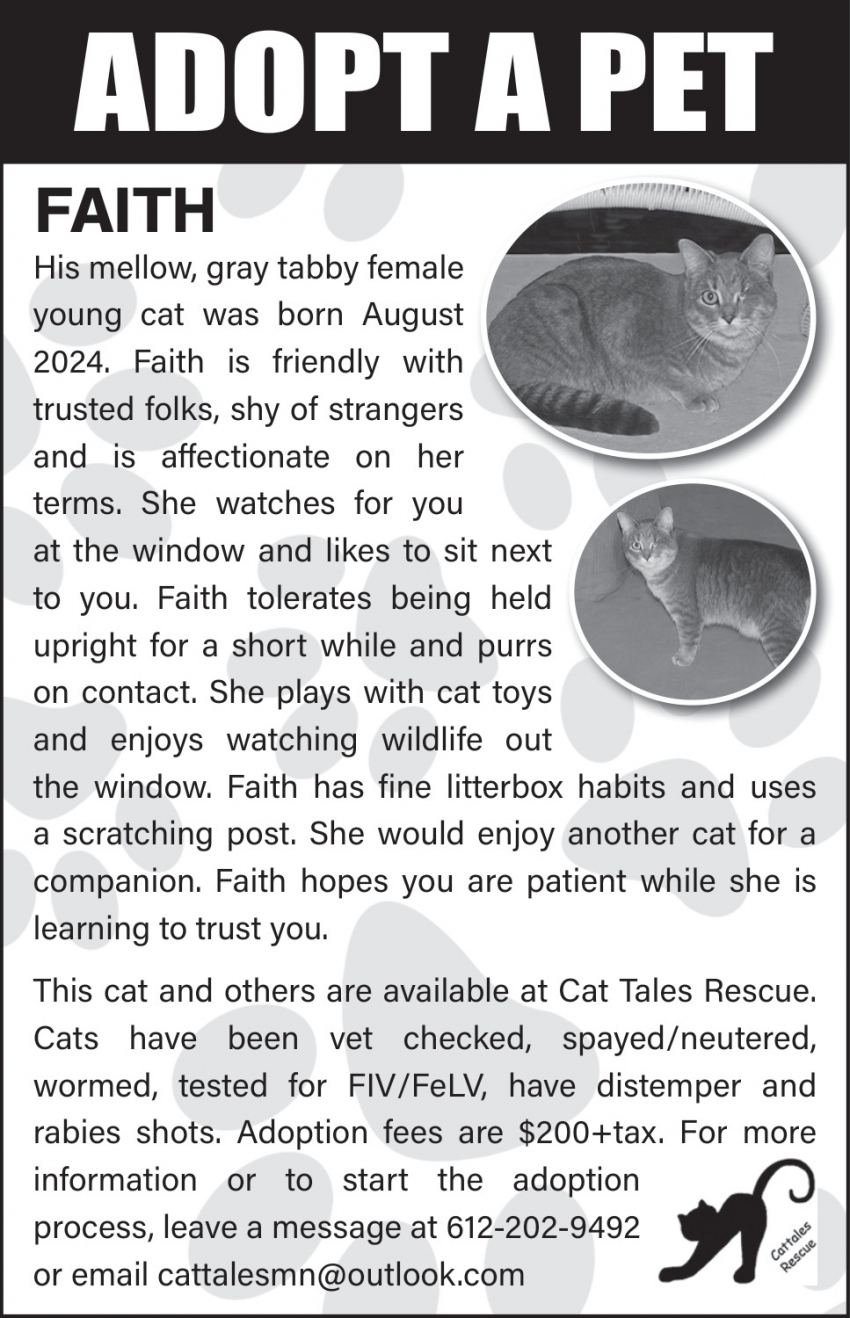 Cat Tales Rescue