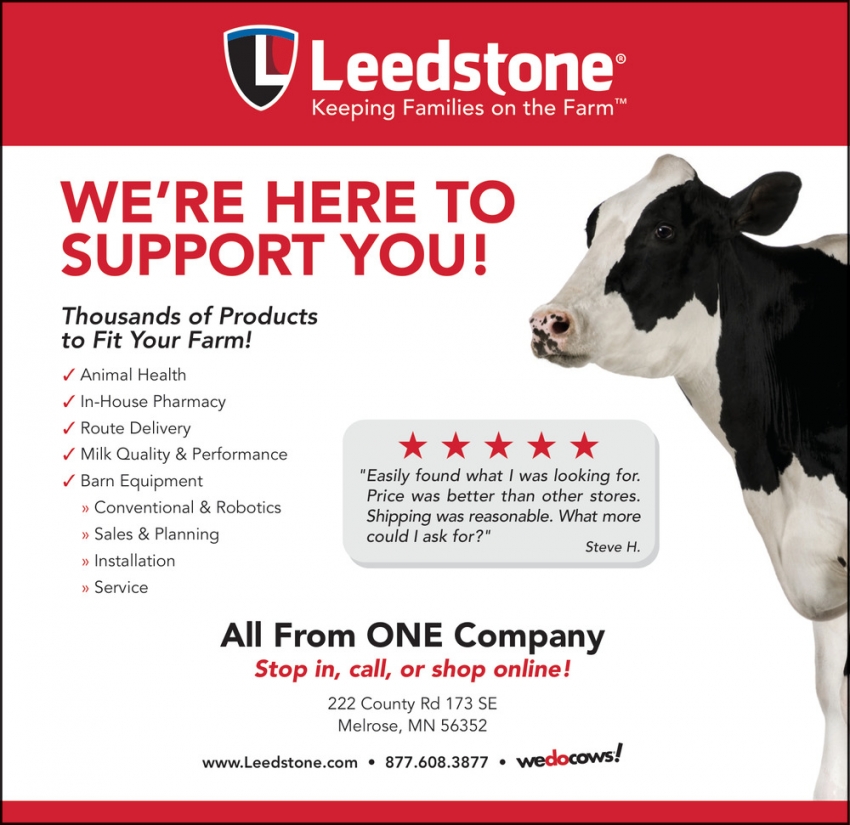 Leedstone