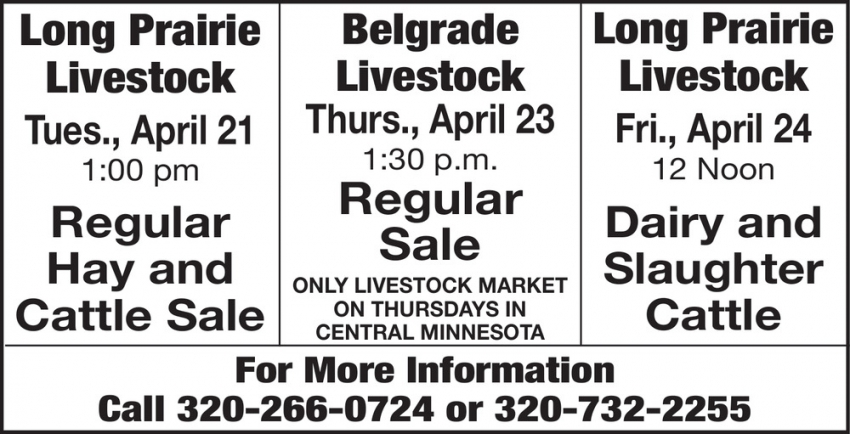 Long Prairie Livestock - Belgrade Livestock