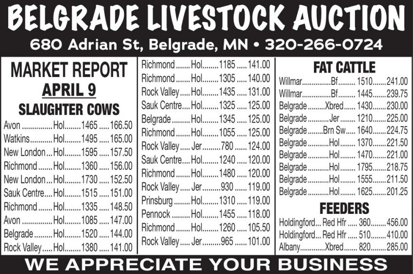 Belgrade Livestock Auction