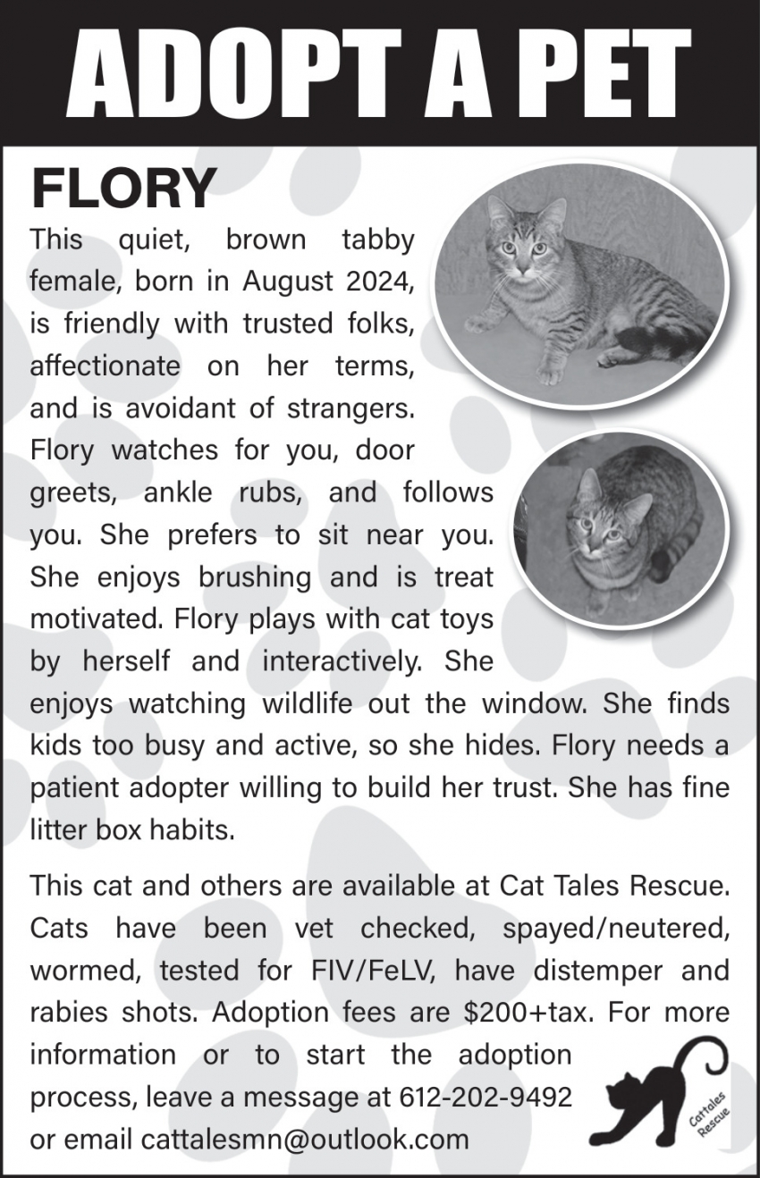 Cat Tales Rescue